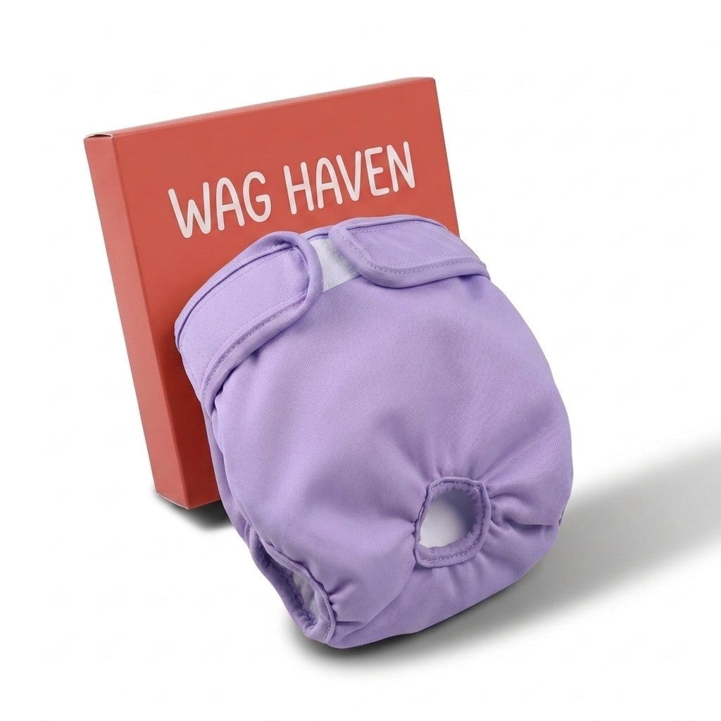 Washable dog diaper that protects your home