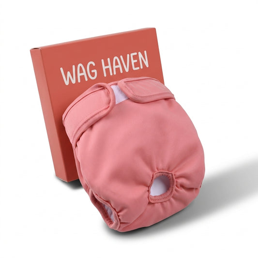 Washable dog diaper that protects your home