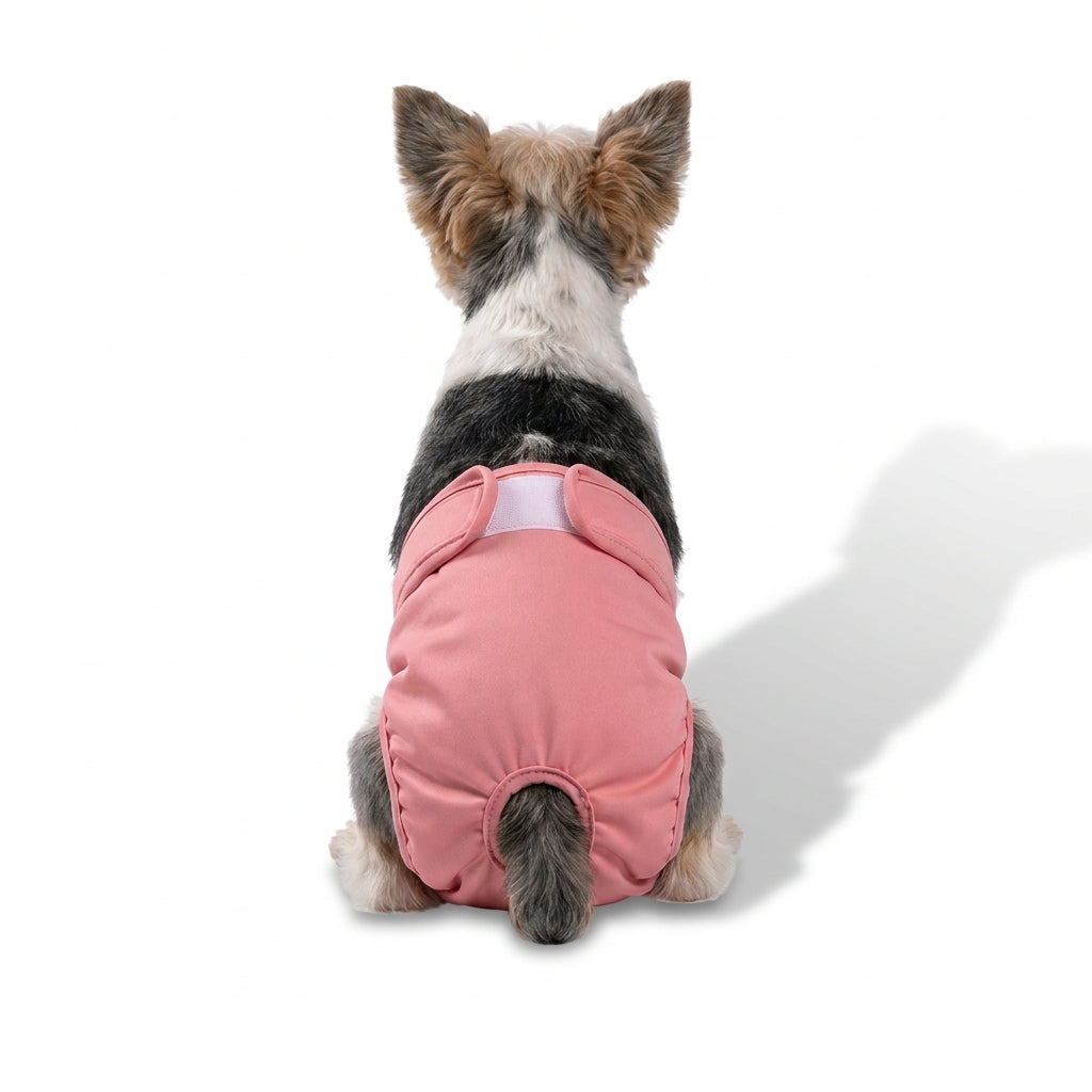 Washable dog diaper that protects your home