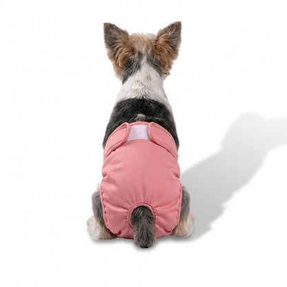 Washable dog diaper that protects your home